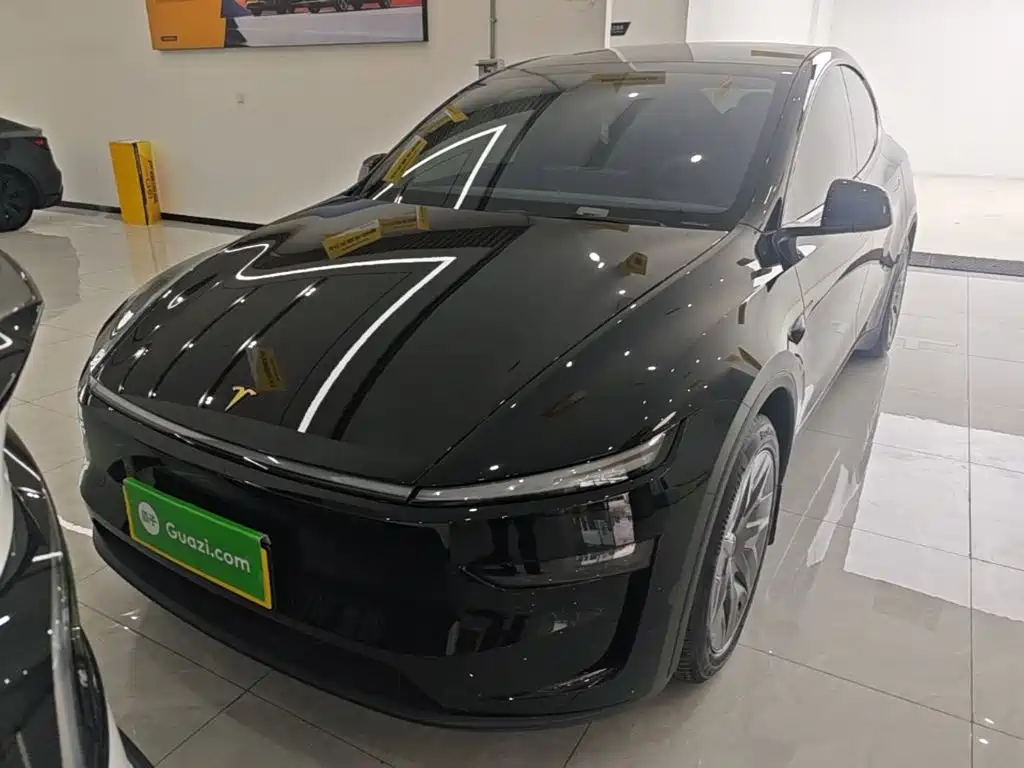 Tesla Model Y L — миниатюра 3