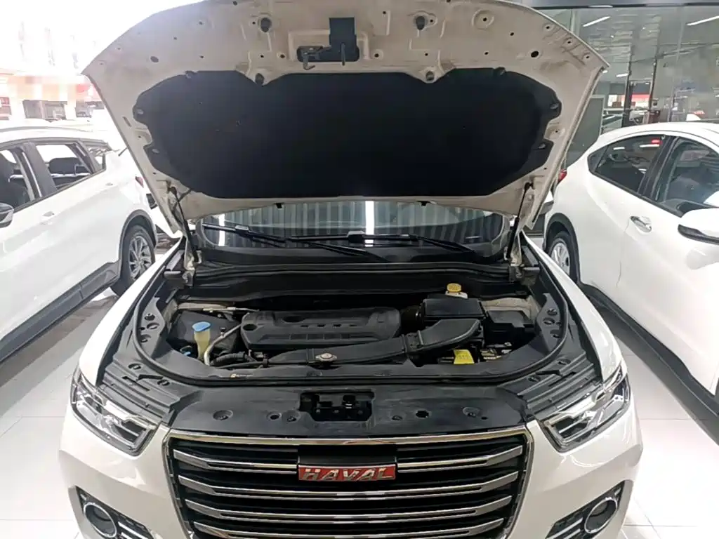 Haval H6 — миниатюра 20