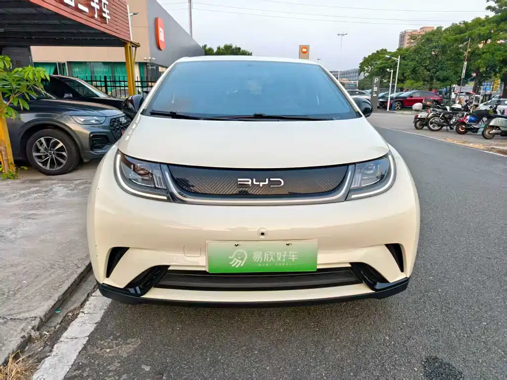 BYD Dolphin — миниатюра 2