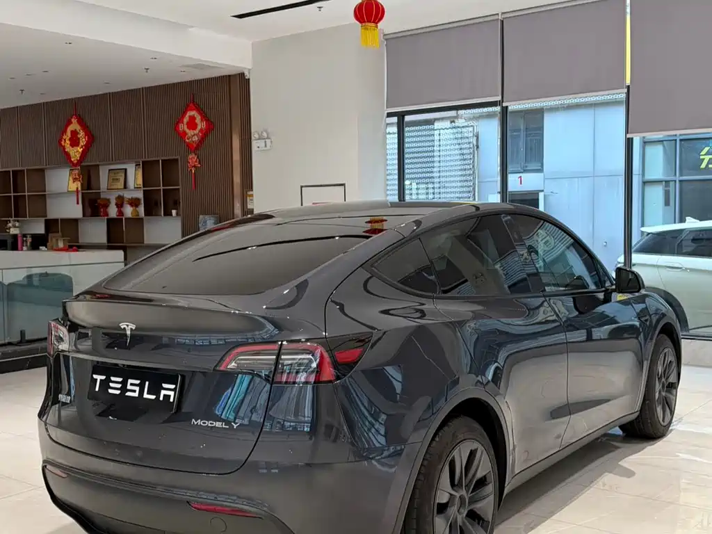 Tesla Model Y — миниатюра 7