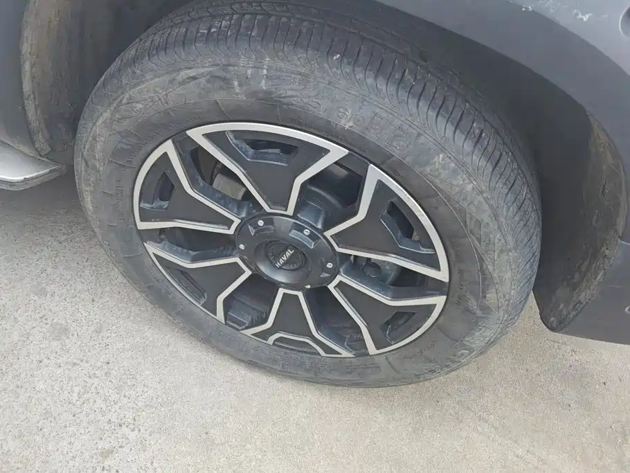 Haval Big Dog — миниатюра 6
