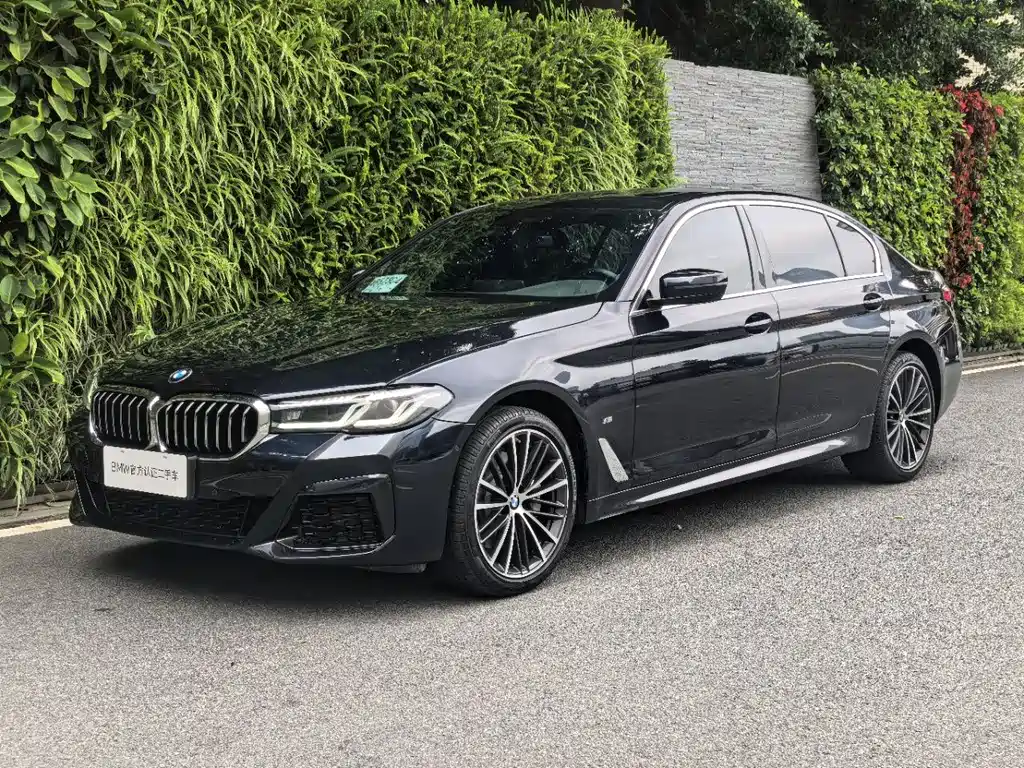Купить BMW 5 Series