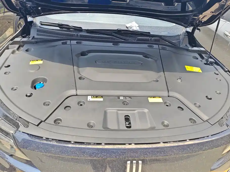 Skyworth EV6 2024 520