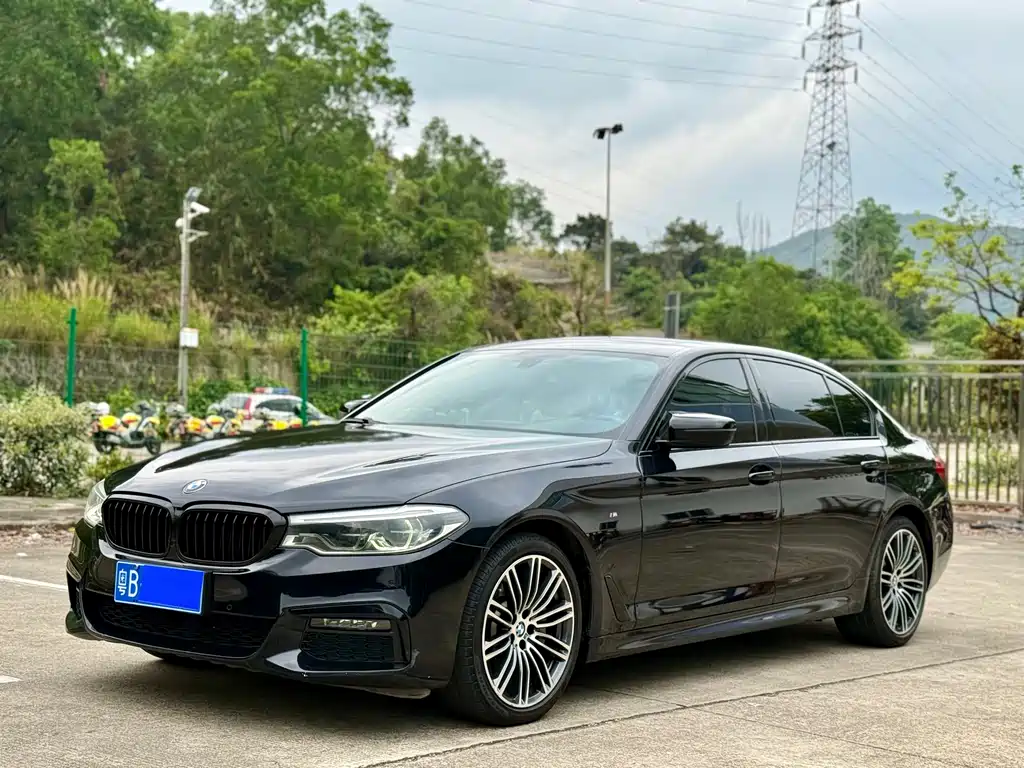 BMW 5 Series 2019