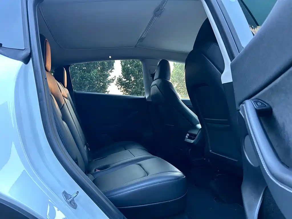 Tesla Model Y — миниатюра 10