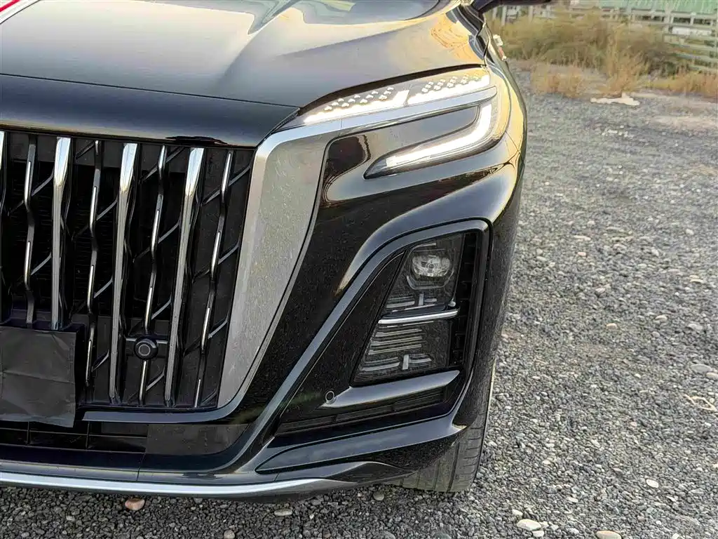 Hongqi Hongqi HS3 — миниатюра 13