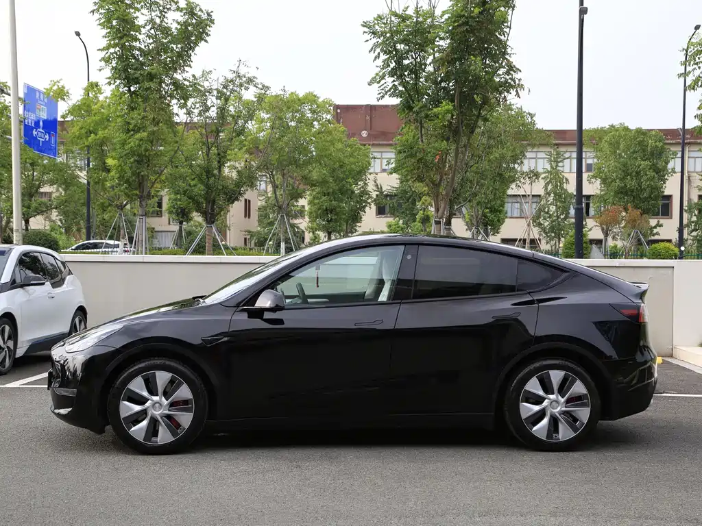 Tesla Model Y — миниатюра 16