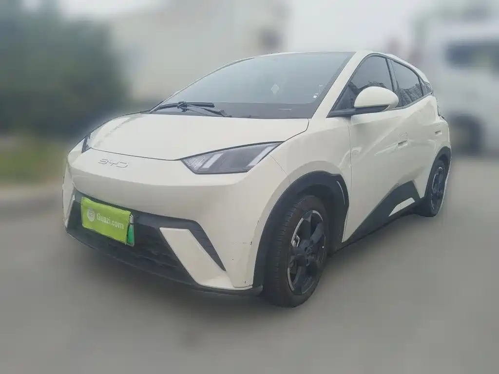 BYD Seagull