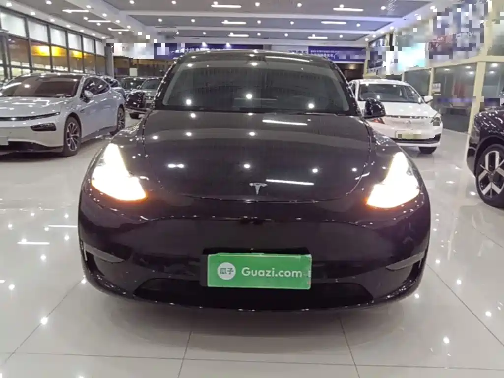 Tesla Model Y — миниатюра 3