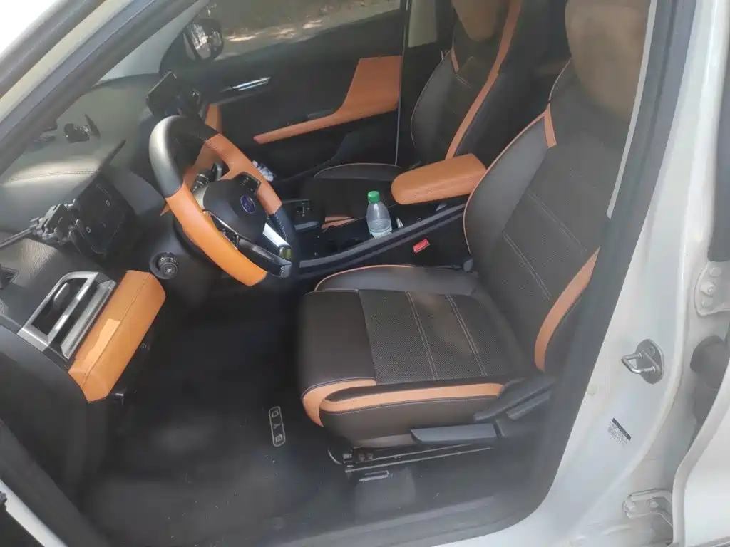 BYD e2 — миниатюра 16