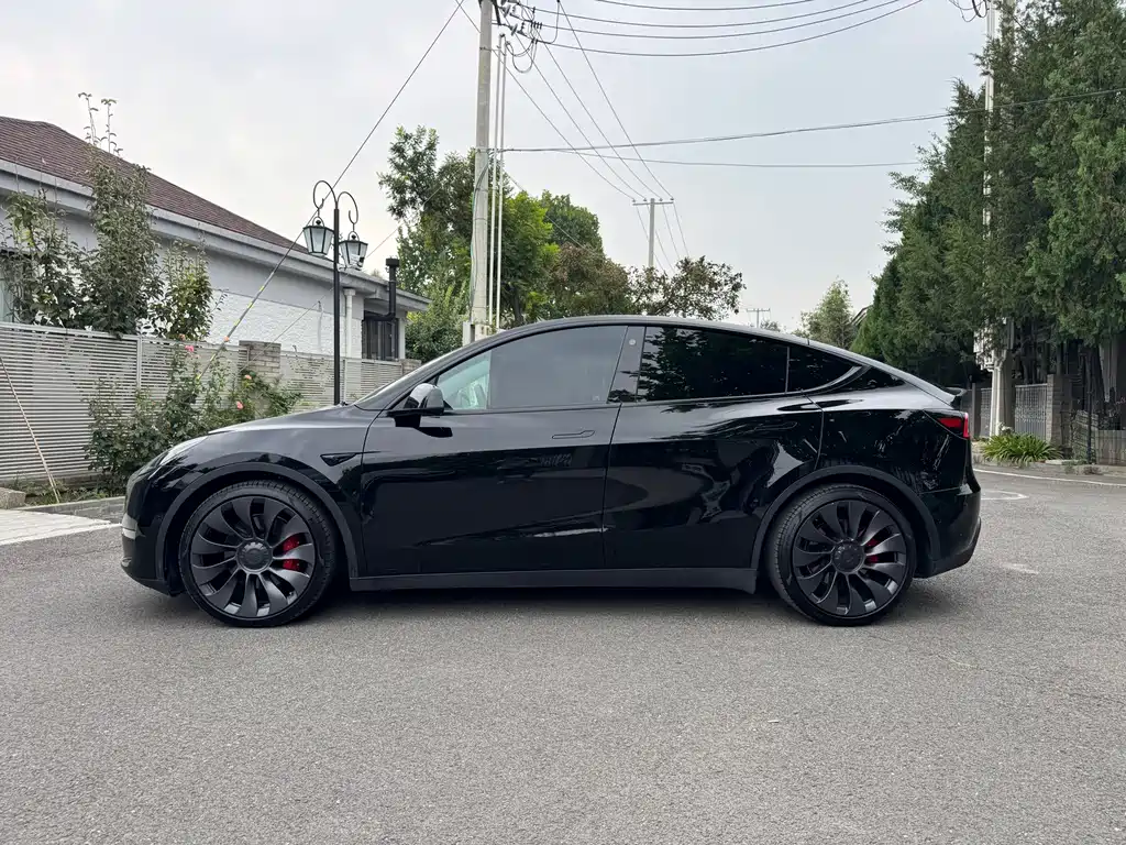 Tesla Model Y — миниатюра 16