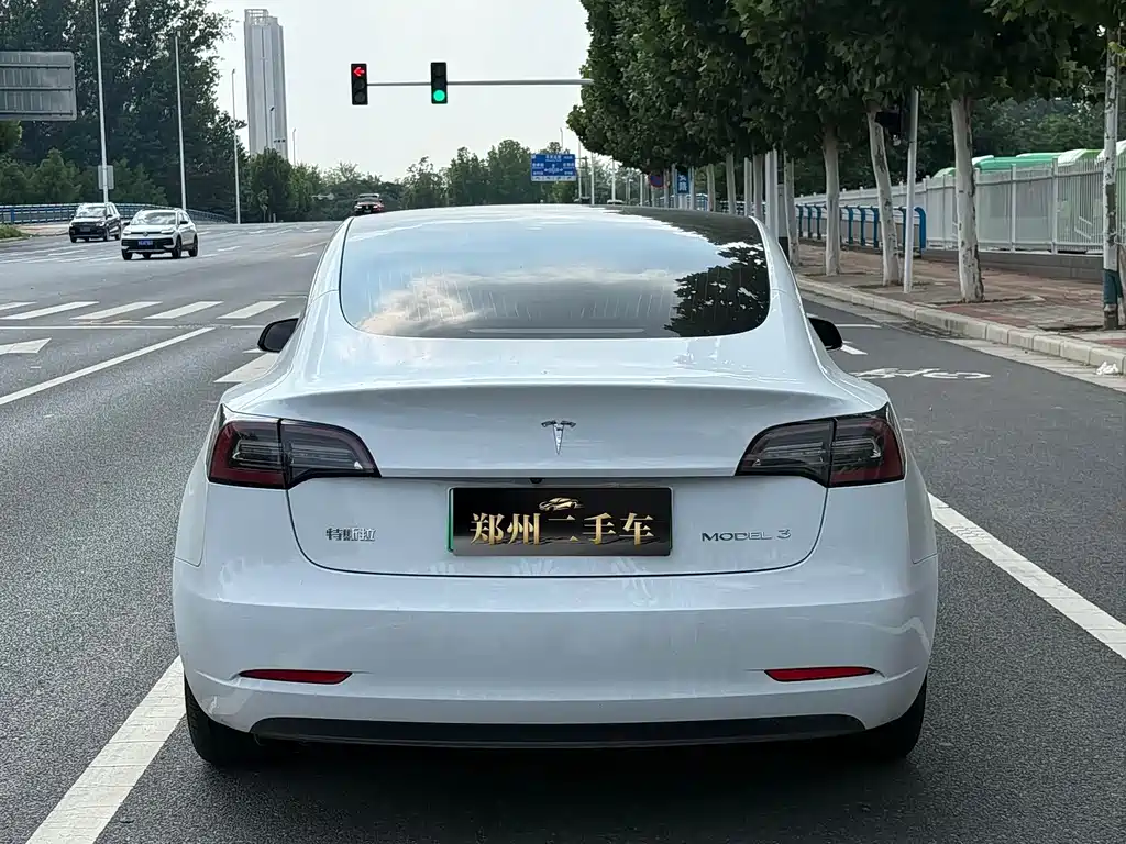 Tesla Model 3 — миниатюра 19