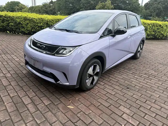 2023 BYD Dolphin