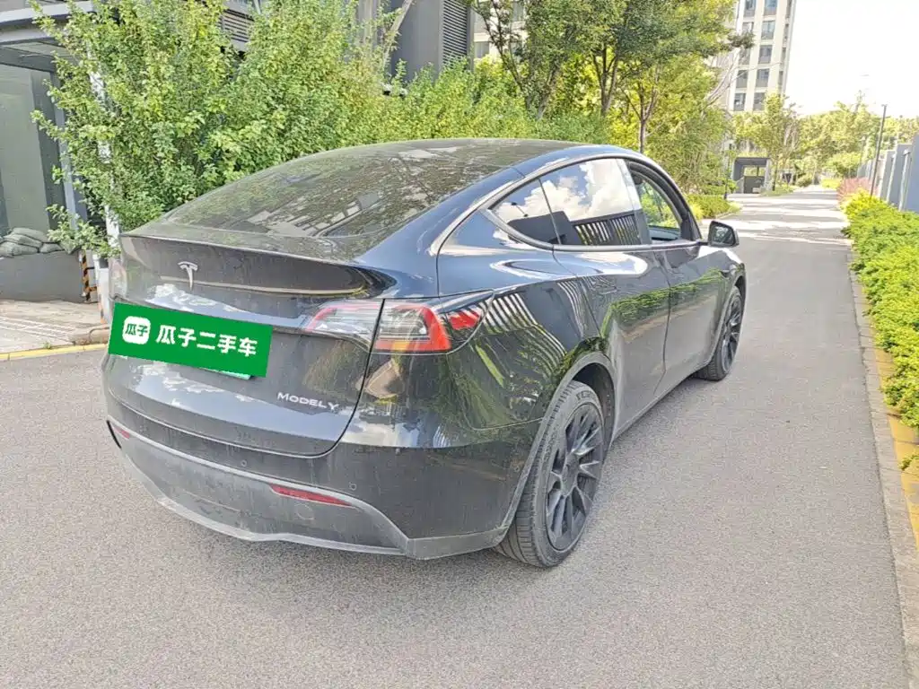 Tesla Model Y — миниатюра 7