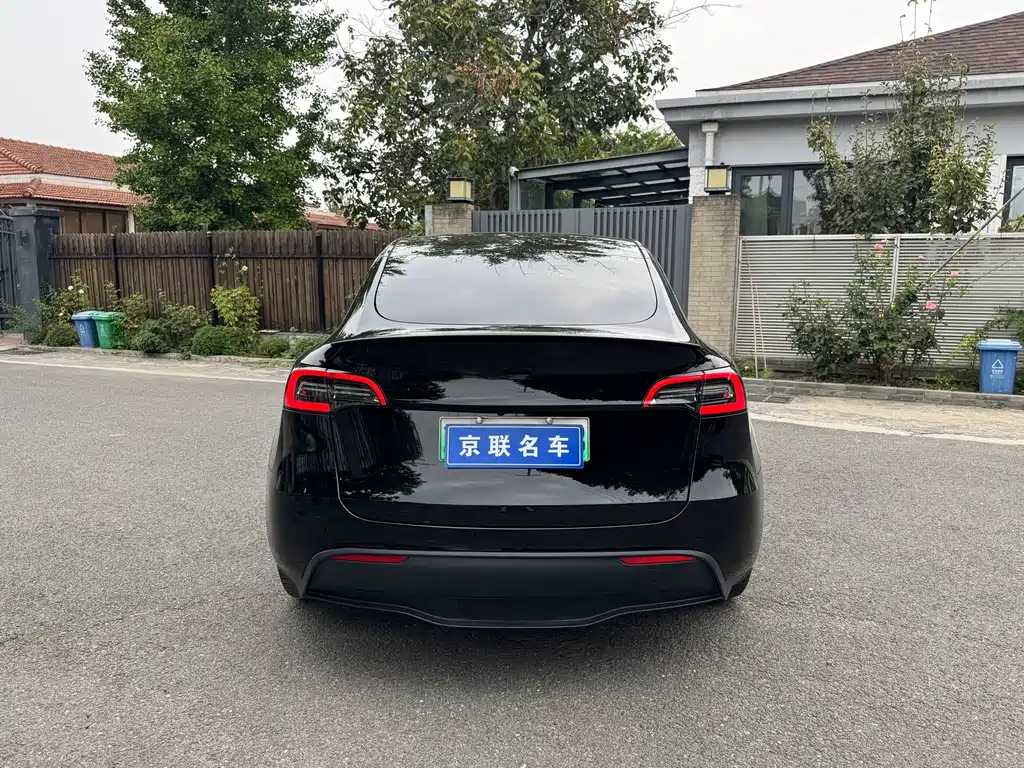Tesla Model Y — миниатюра 14