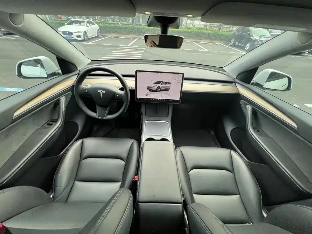 Tesla Model Y — миниатюра 9