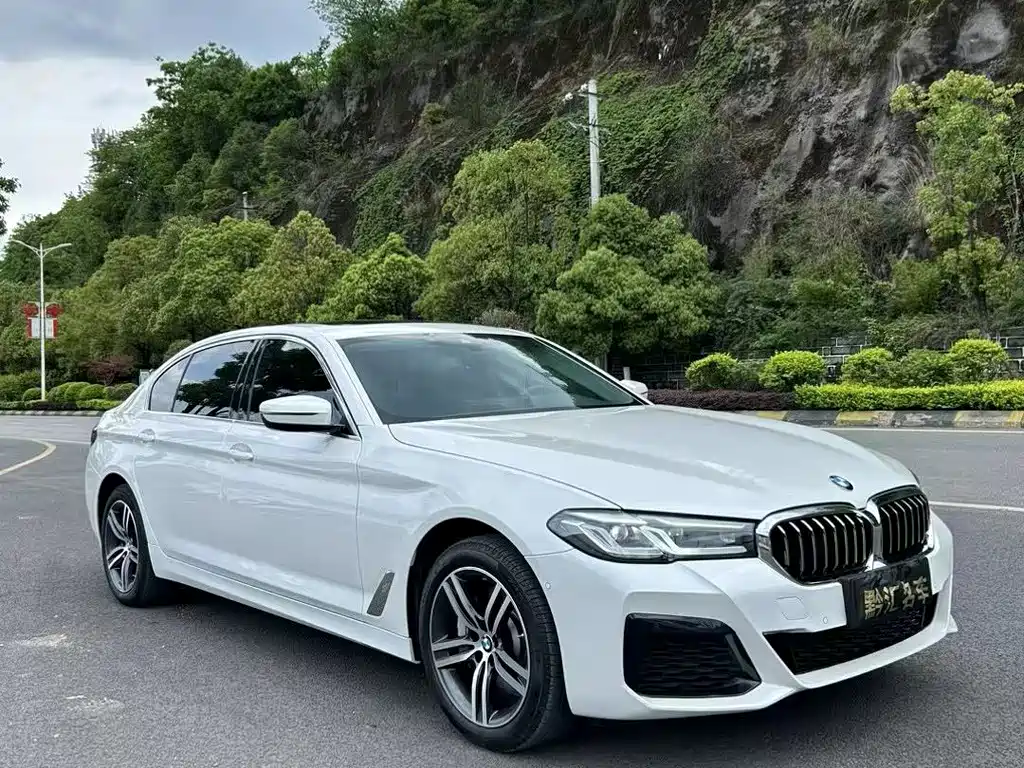 BMW 5 Series — миниатюра 9