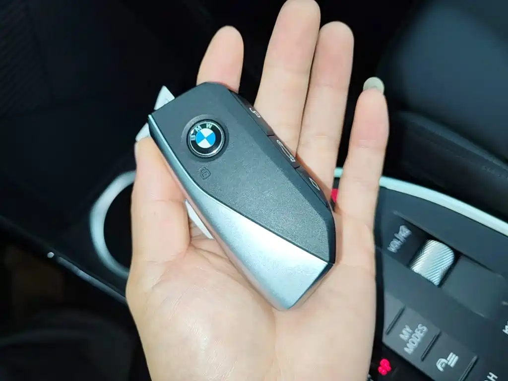 BMW X2 (Import) — миниатюра 13