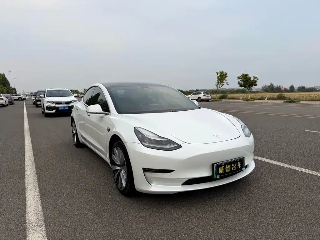 Tesla Model 3 — миниатюра 3