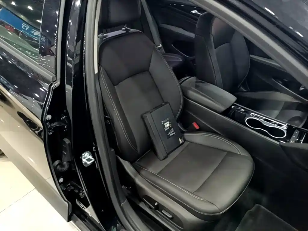 Buick Regal — миниатюра 25