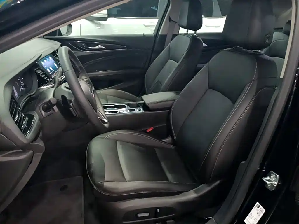 Buick Regal — миниатюра 15