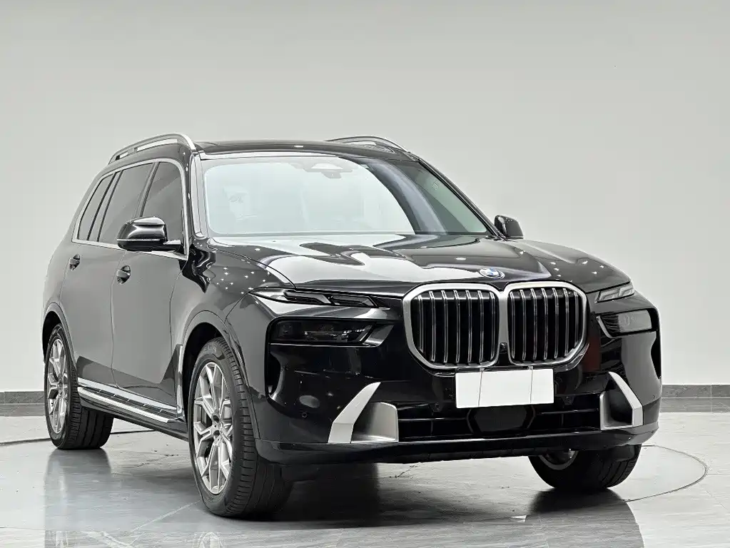 BMW X7 — миниатюра 3