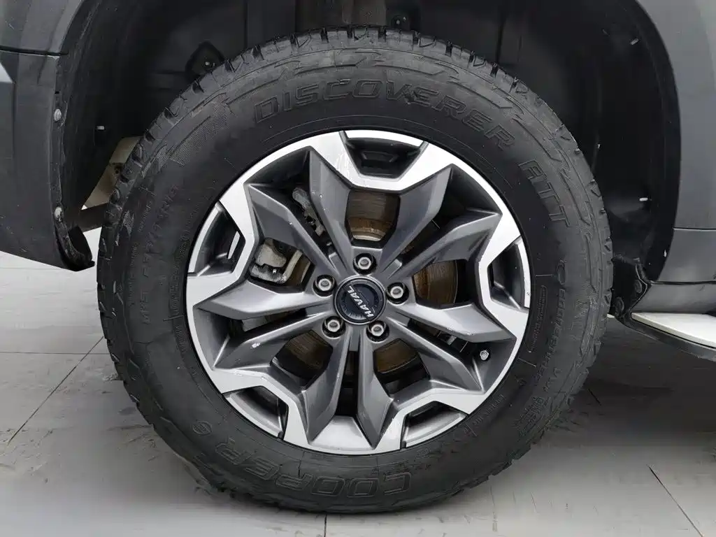 Haval Big Dog — миниатюра 17