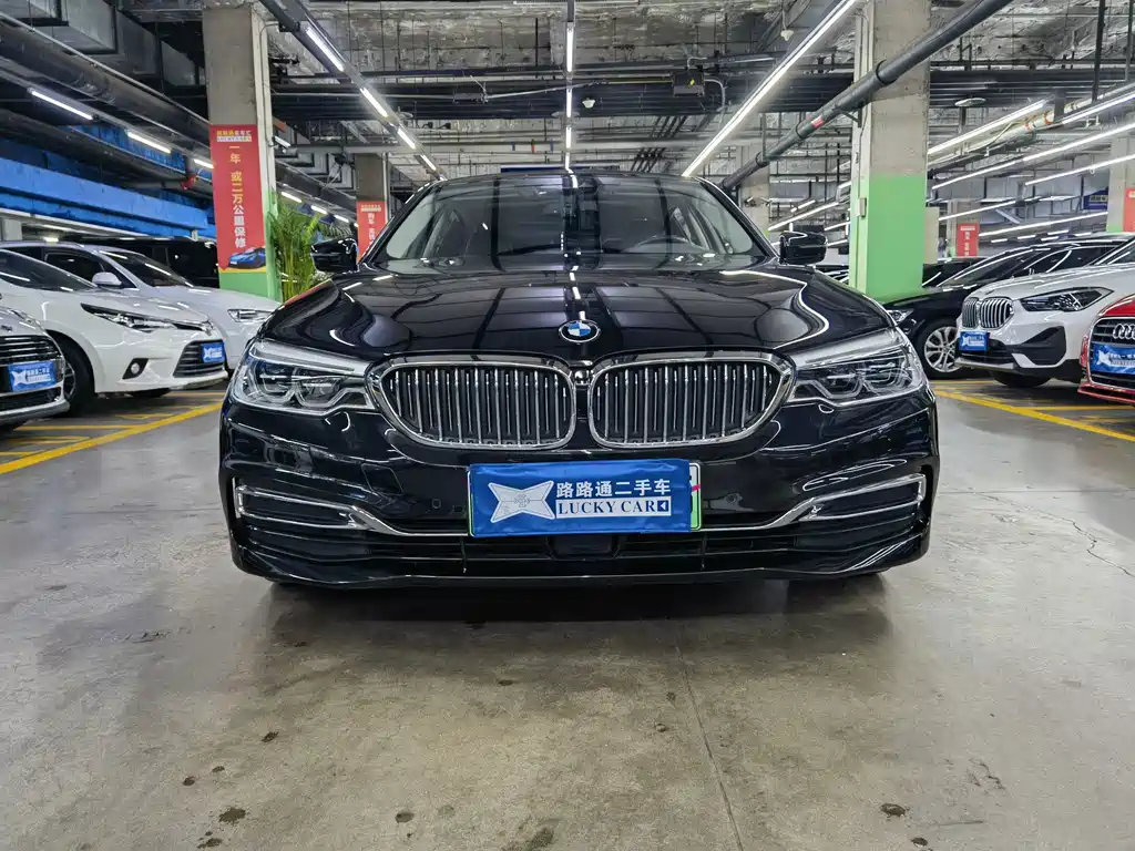 BMW 5 Series New Energy Mileage Upgrade Edition 530Le Pioneer Edition, фото 2