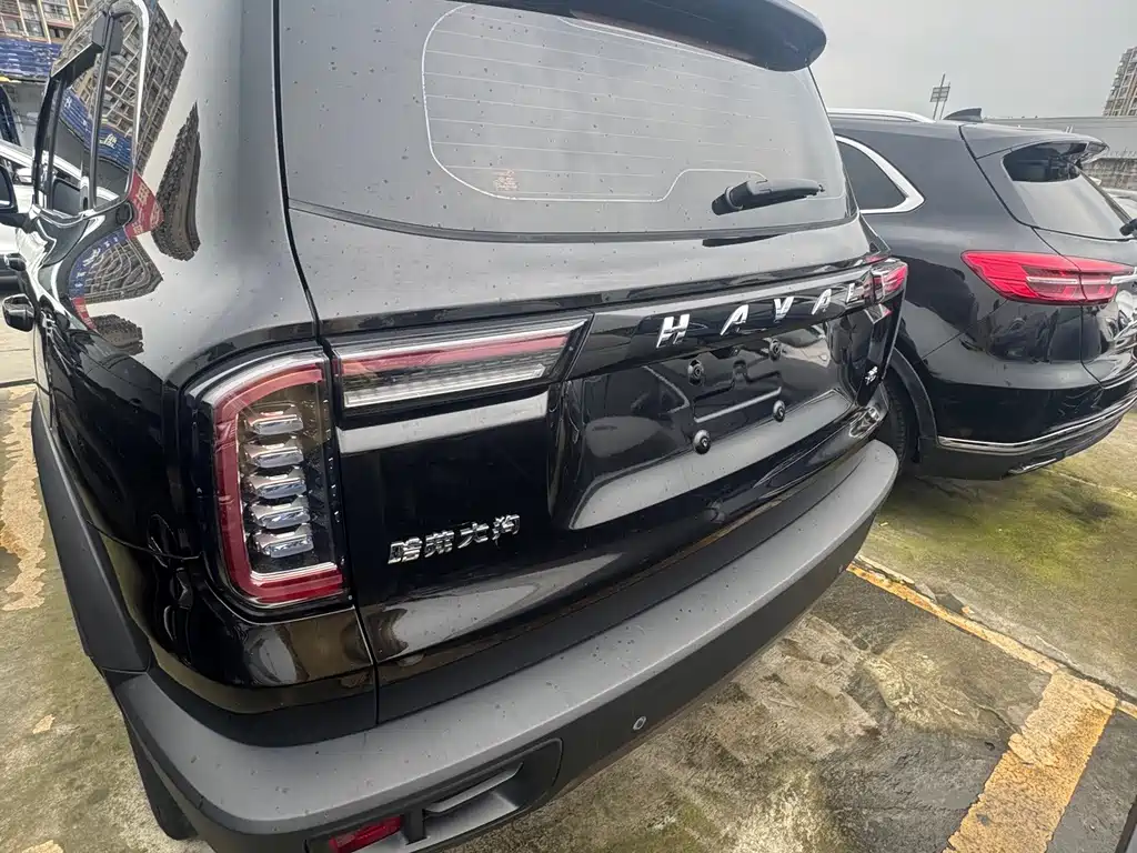 Haval Big Dog — миниатюра 16