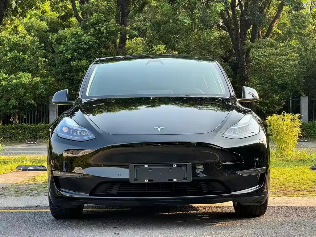 Tesla Model Y — миниатюра 2