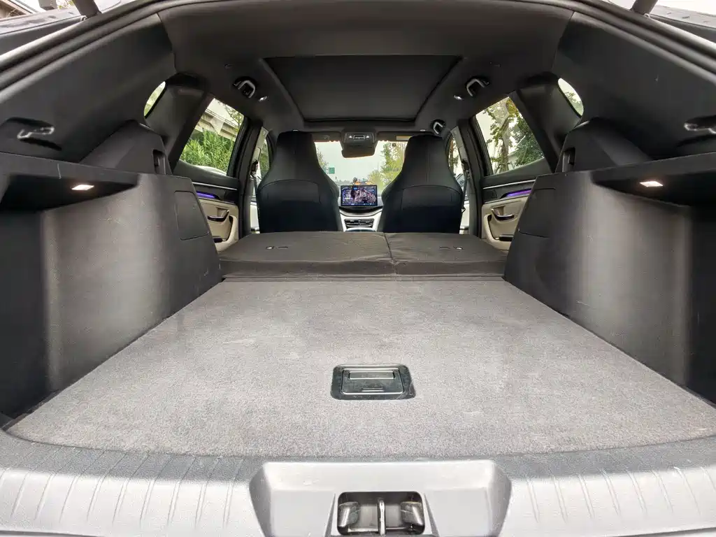 BYD PLUS New Energy — миниатюра 13