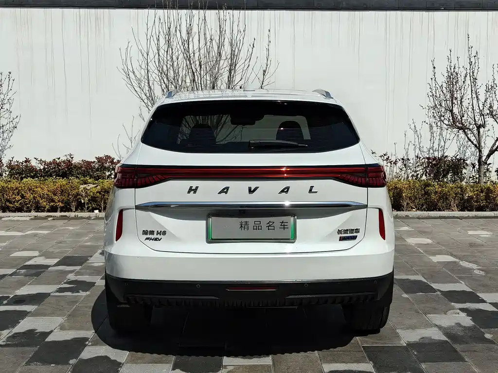 HAVAL H6 NEW ENERGY