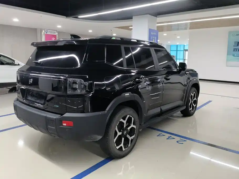 Shanhai Shanhai T1 — миниатюра 3