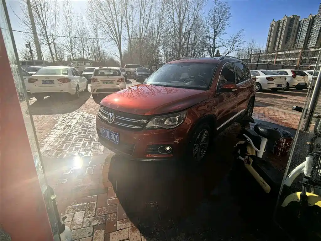 Volkswagen Tiguan 2010