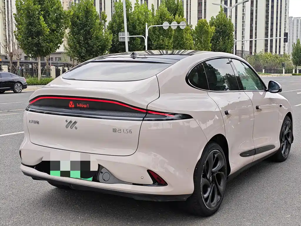 IM IM LS6 — миниатюра 9