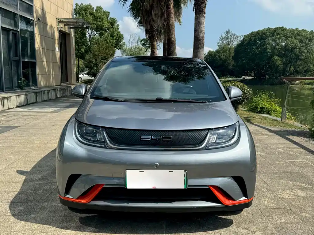 BYD Dolphin — миниатюра 2