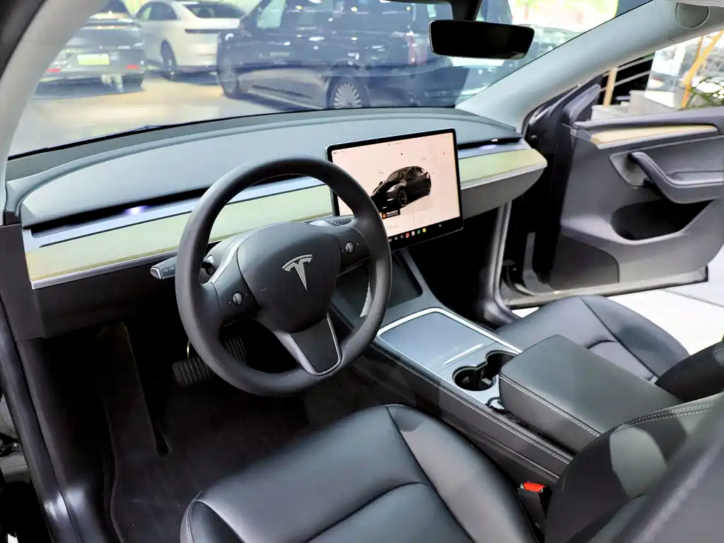 Tesla Model Y — миниатюра 9