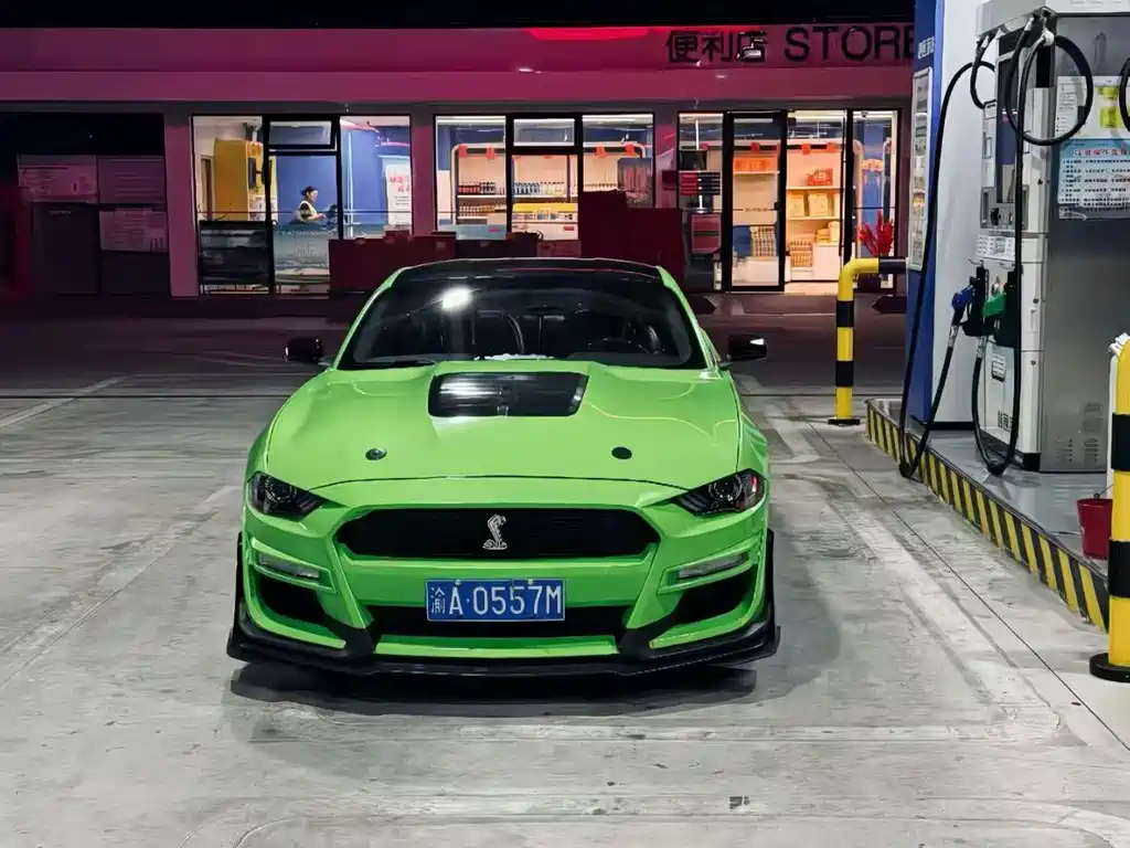 Ford Mustang — миниатюра 2