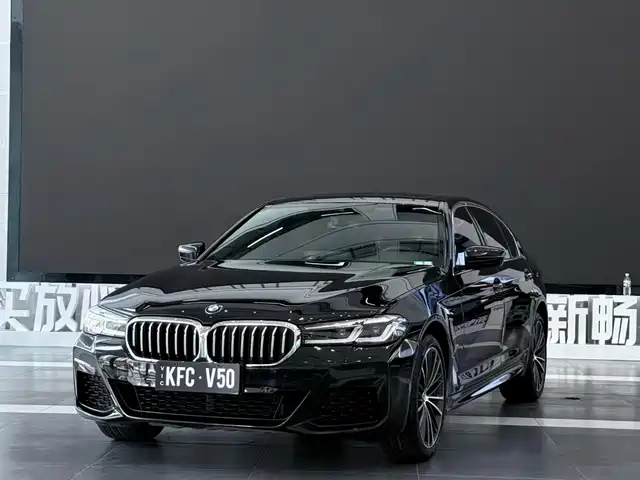 BMW 5 SERIES