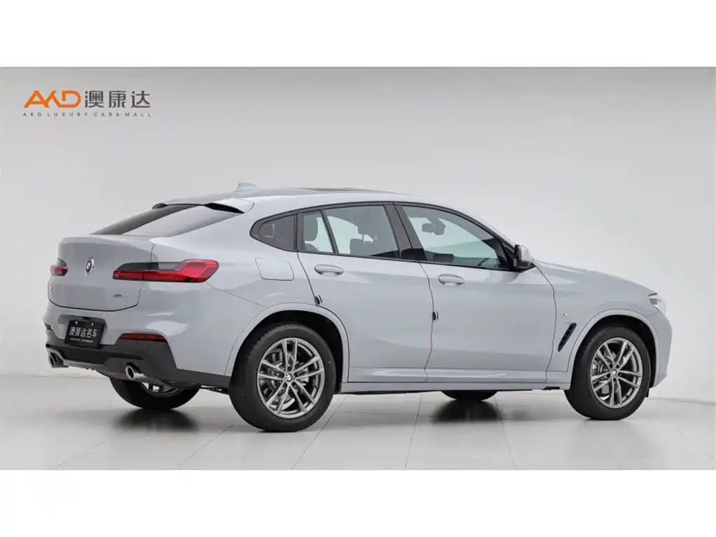 BMW X4 2019 xDrive25i M Sport