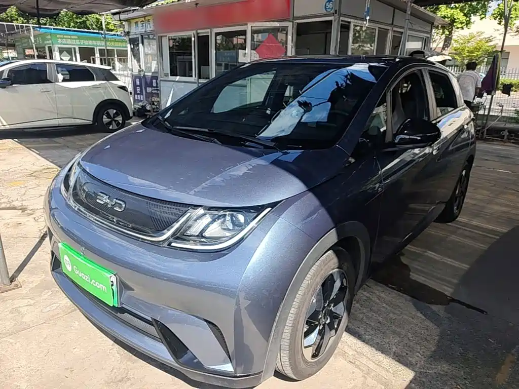 BYD Dolphin — миниатюра 2