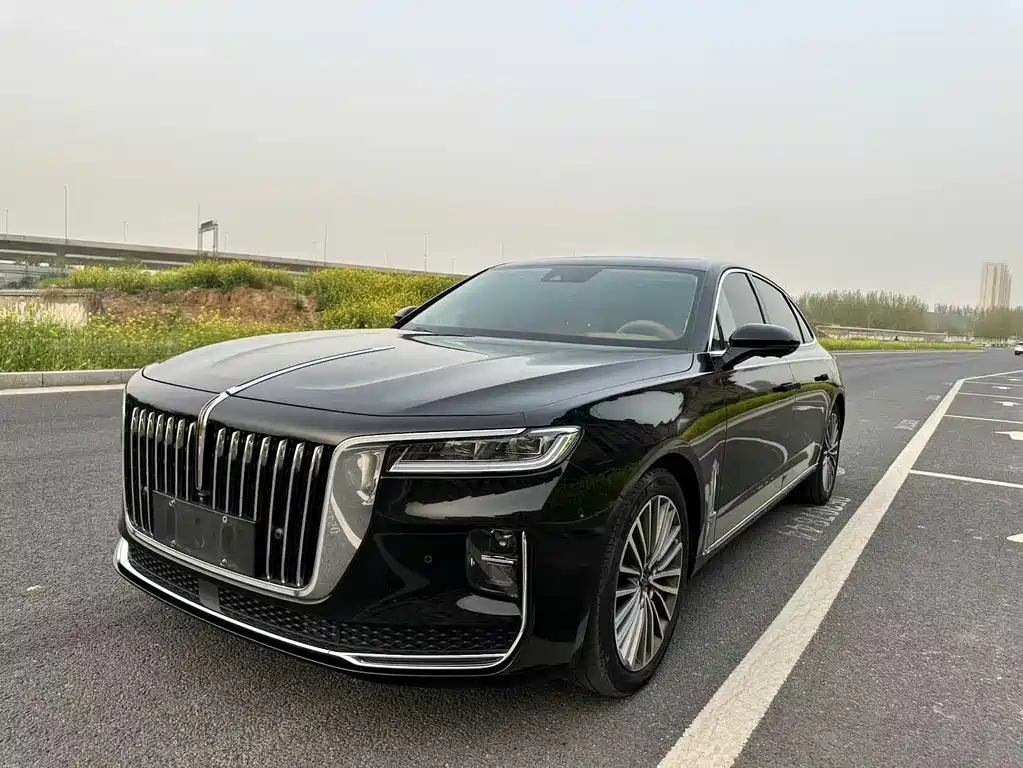 Hongqi Hongqi H9 2021