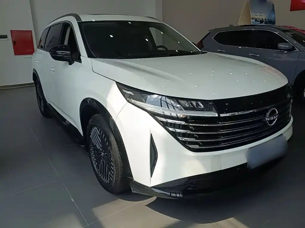 Nissan Teramont — миниатюра 4