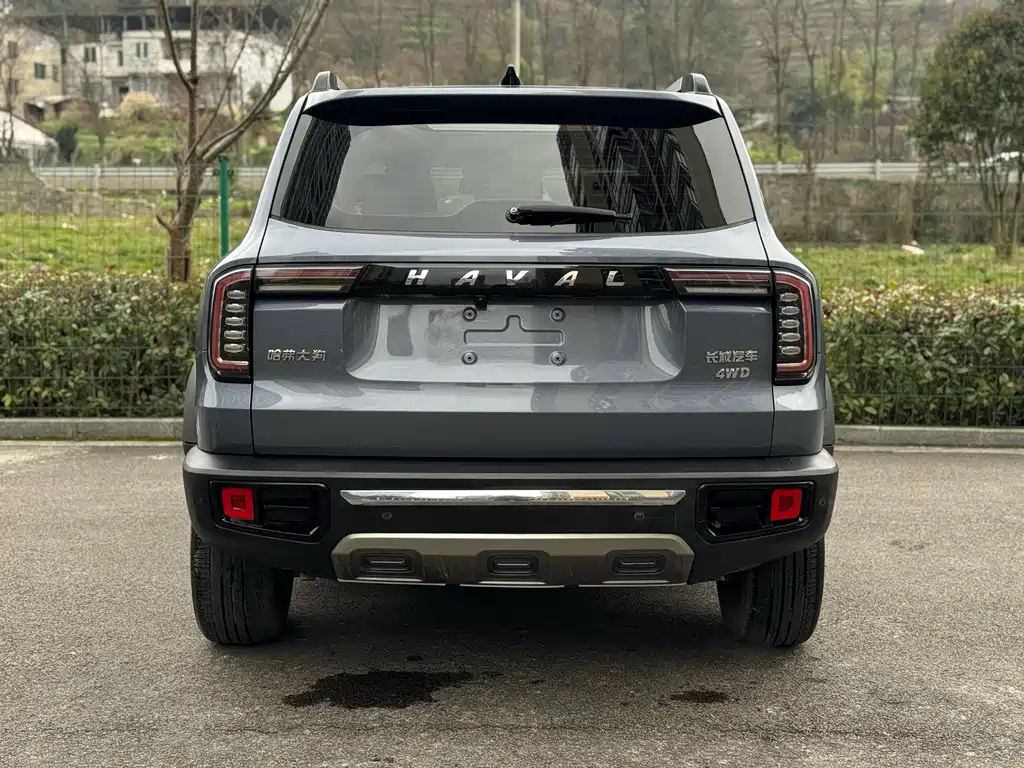 HAVAL BIG DOG