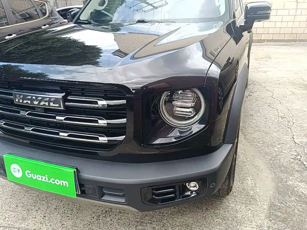 Haval Big Dog — миниатюра 24