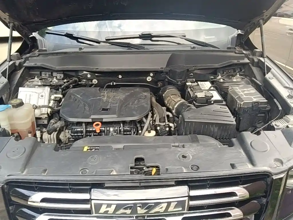 Haval Big Dog — миниатюра 20