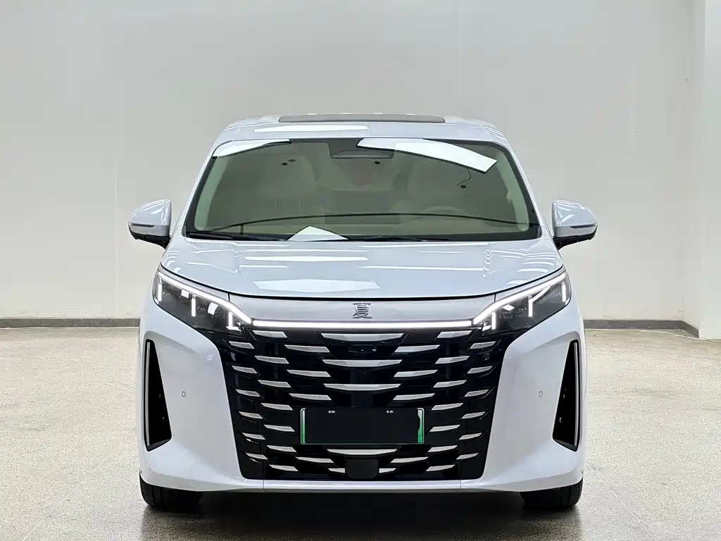 BYD Xia — миниатюра 2