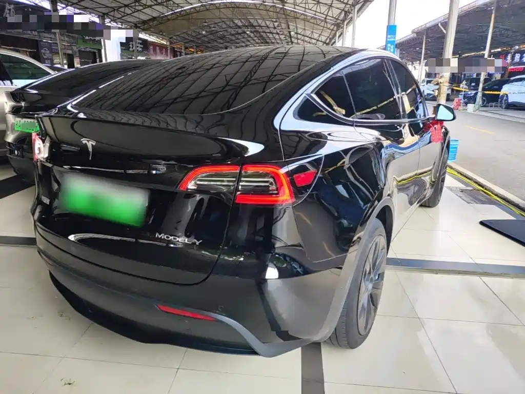 Tesla Model Y — миниатюра 7