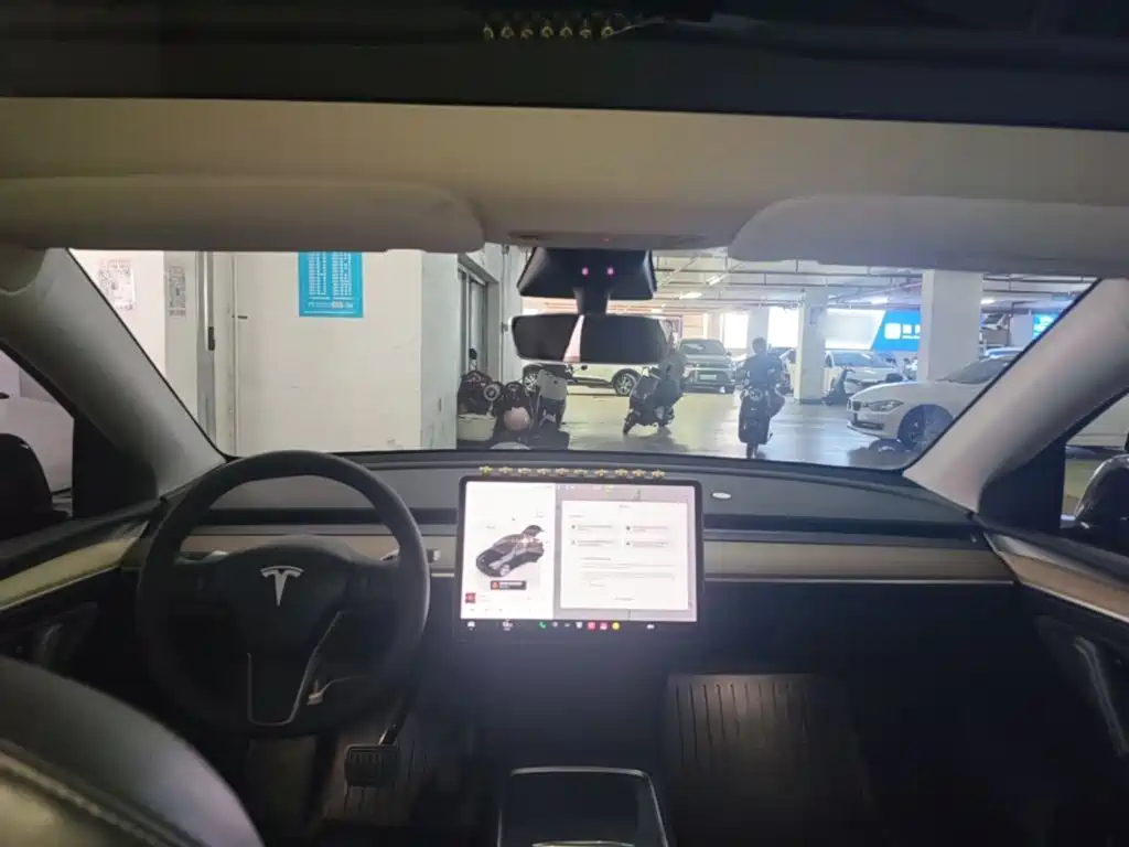 Tesla Model Y — миниатюра 18