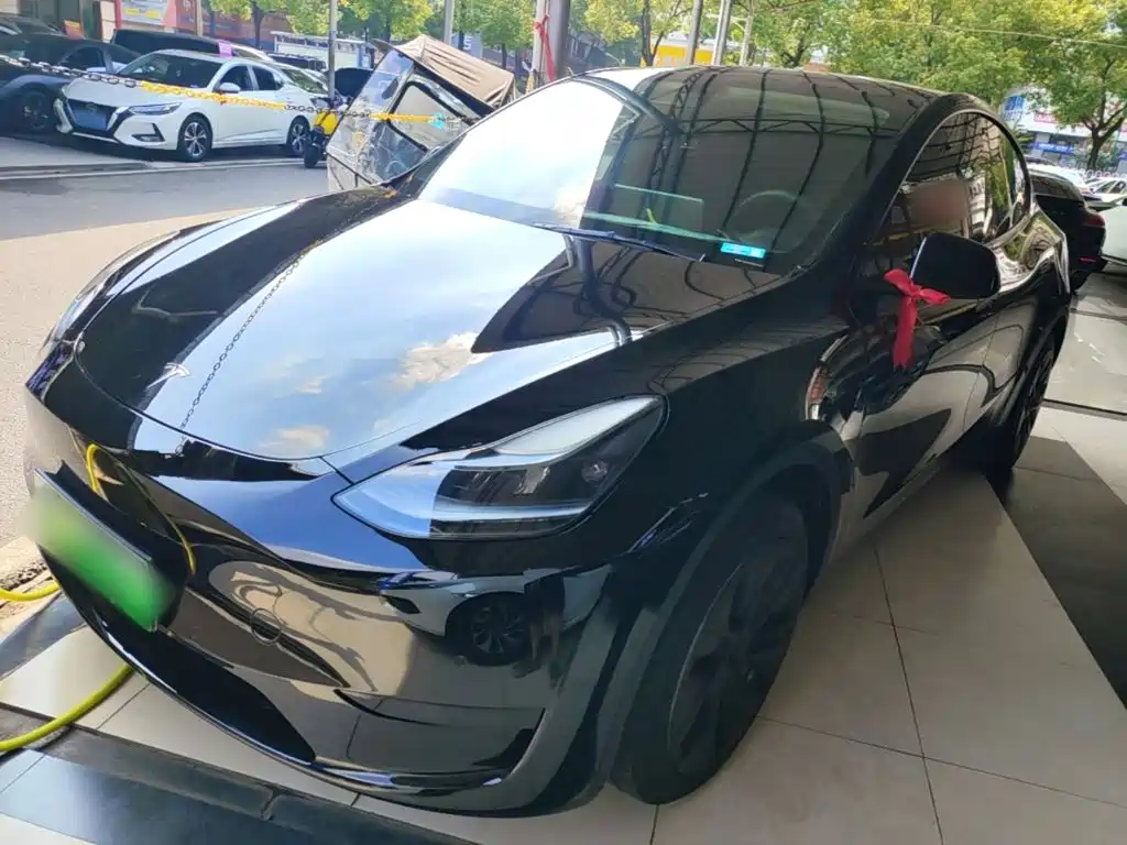 Tesla Model Y — миниатюра 2